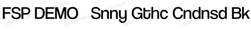 FSP DEMO   Snny Gthc Cndnsd Bk Regu字体转换